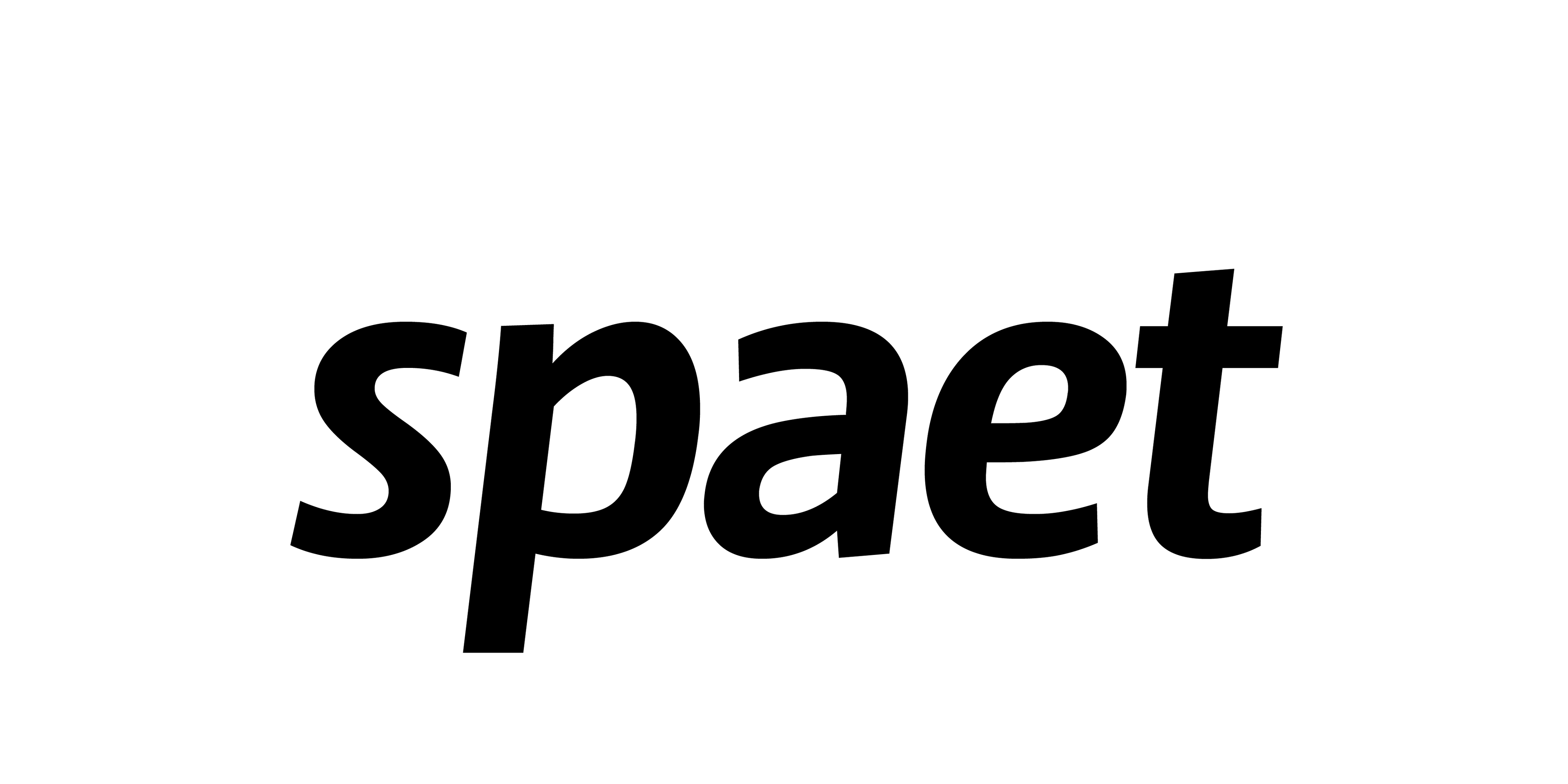 spaet.studio
